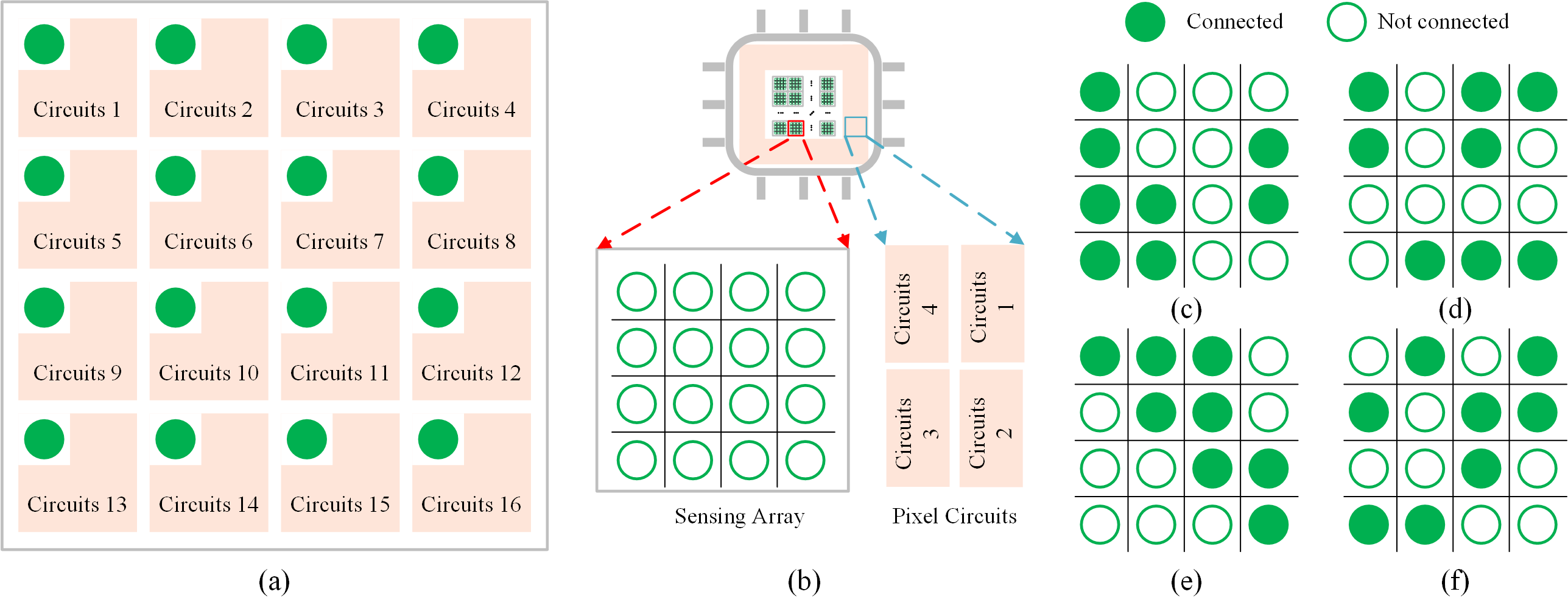 On-chip Compressive Sensing with Single Photon Avalanche Diode Array