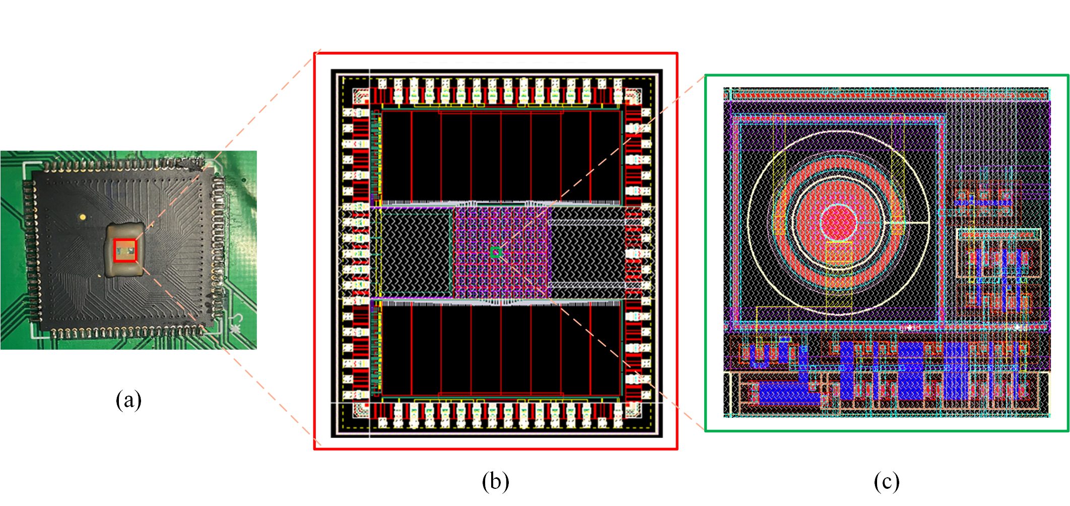 On-chip Compressive Sensing with Single Photon Avalanche Diode Array |Sensors