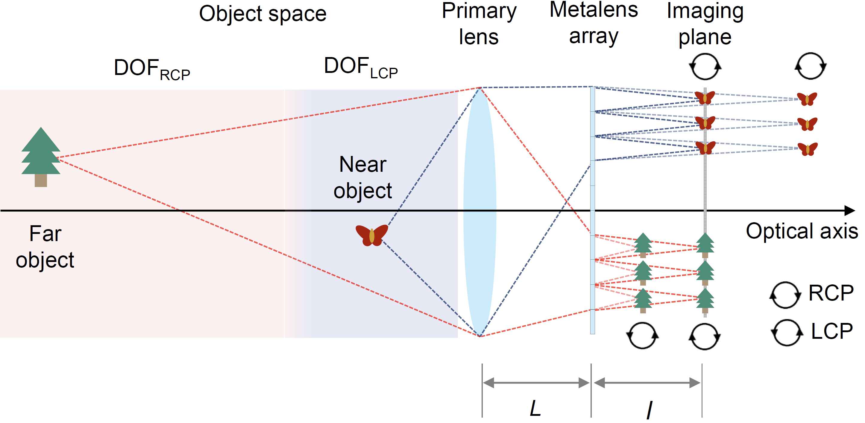 Trilobite-inspired neural nanophotonic light-field camera with extreme ...