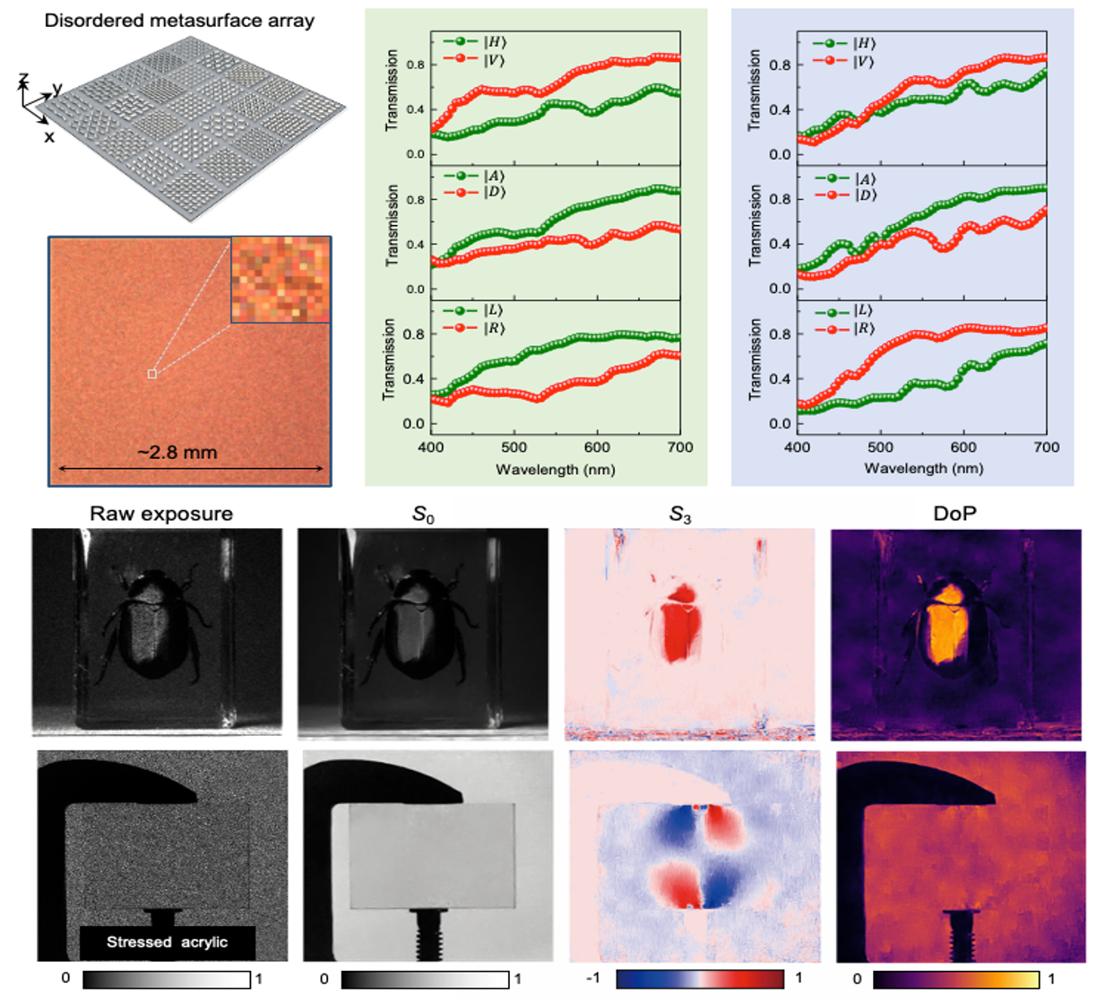Disordered metasurface enabled single-shot full-Stokes polarization imaging leveraging weak dichroism|2023 Nature Communication