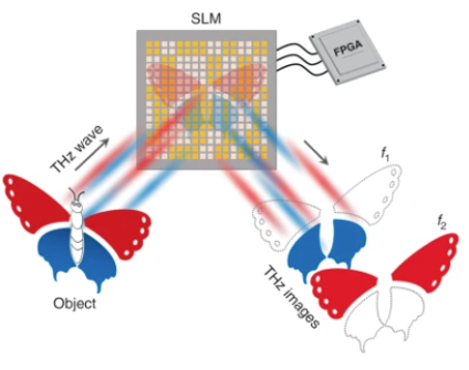 Dual-color terahertz spatial light modulator for single-pixel imaging | Light Science and Application
