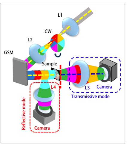 Video rate spectroscopy via Fourier-spectral-multiplexing | SPIE 2019