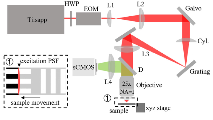 Overcoming tissue scattering in wide-field two-photon imaging by extended detection and computational reconstruction.pdf｜OSA Optics Express 2019